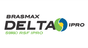 Semente soja BMX Delta Peneira 6,5 (PMS médio: 148g)